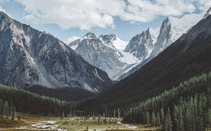 钢铁行情分析：2024年市场趋势与投资策略